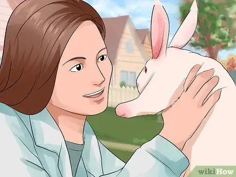 Imagen titulada Look After a Rabbit That Needs Its Teeth Trimmed Step 4