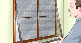 cuidar a un ave que se ha estrellado contra la ventana