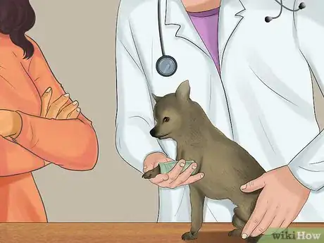 Imagen titulada Stop a Dog from Bleeding Step 4