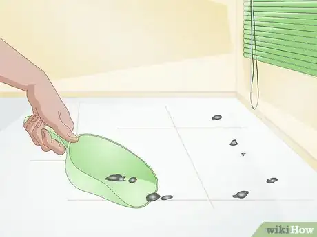Imagen titulada Clean up After Your Guinea Pig Step 9