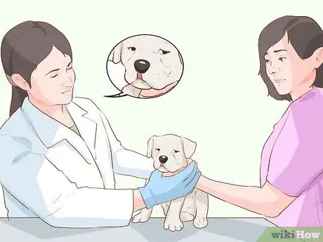Imagen titulada Save a Newborn Puppy with a Cleft Palate Step 14