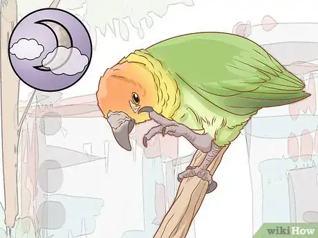 Imagen titulada Tell if Your Bird Has Mites Step 3