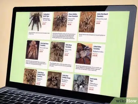 Imagen titulada Keep Spiders As Pets Step 2