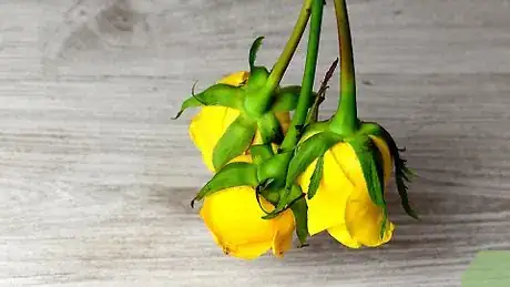 Imagen titulada Preserve Roses in Resin Step 4