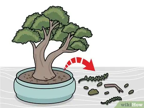 Imagen titulada Prune a Bonsai Tree Step 1