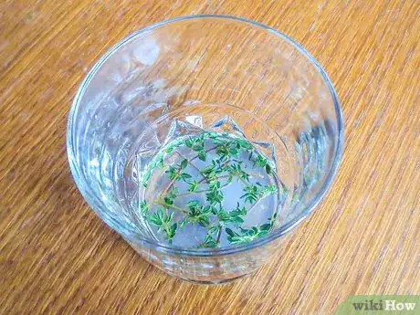 Imagen titulada Serve Limoncello Step 16