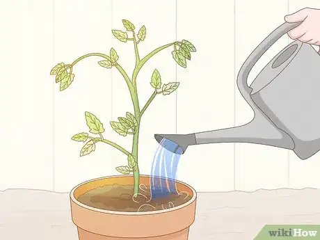 Imagen titulada Get Rid of Red Spider Mites Organically Step 12