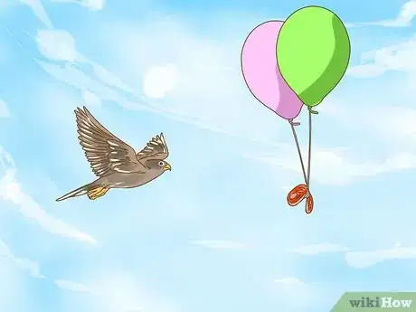 Imagen titulada Train Your First Falcon Step 11