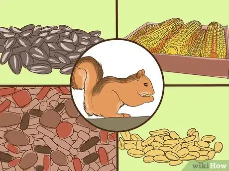 Imagen titulada Make a Squirrel Feeder Step 28