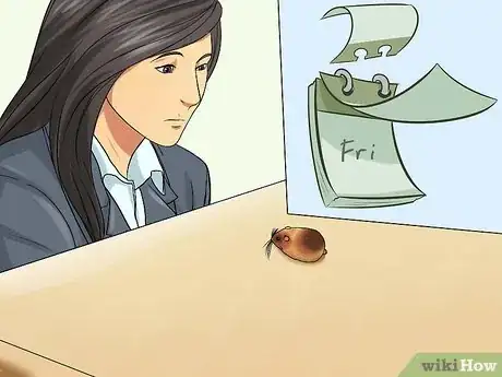 Imagen titulada Know if Your Hamster Is Dying Step 1