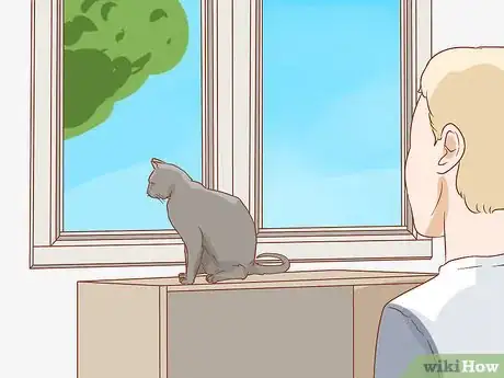 Imagen titulada Prevent Worms in Cats Step 3