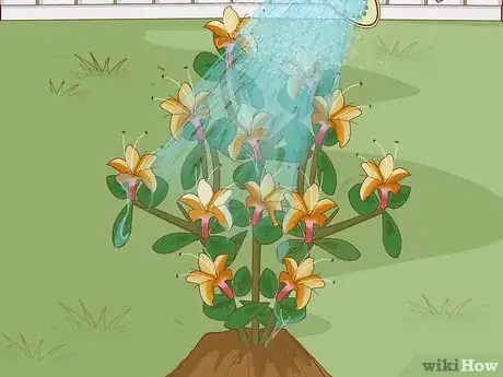 Imagen titulada Plant Azaleas Step 6