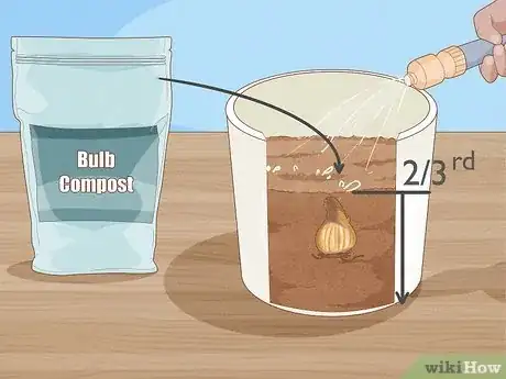 Imagen titulada Transplant Daffodils Step 11