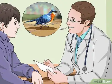 Imagen titulada Care for an Injured Wild Bird That Cannot Fly Step 15