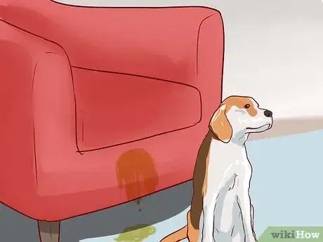Imagen titulada Train Beagles Step 17