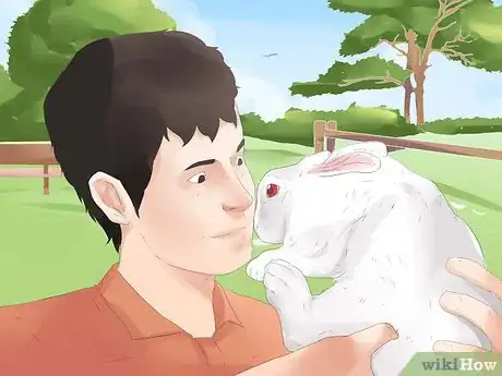 Imagen titulada Understand Your Rabbit Step 10