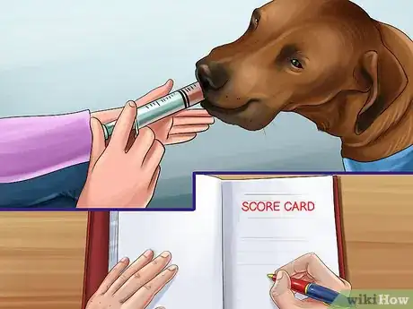 Imagen titulada Gauge Your Senior Dog's Quality of Life Step 9