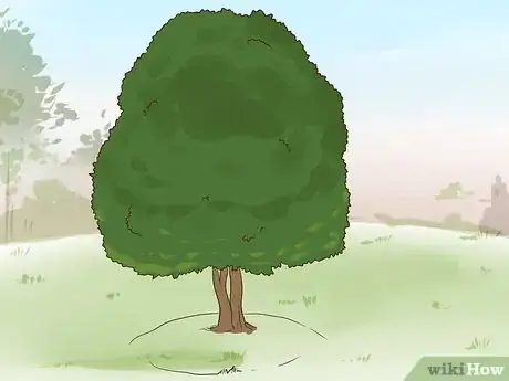 Imagen titulada Make a Squirrel Feeder Step 27