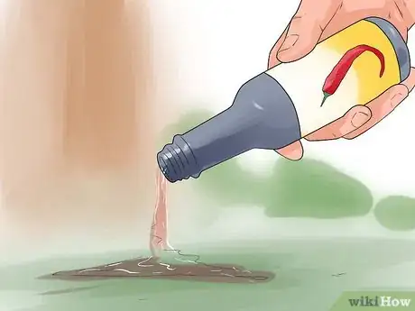 Imagen titulada Get Your Cat to Stop Hissing Step 13