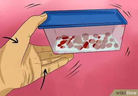 Imagen titulada Keep Rose Petals Fresh Step 10
