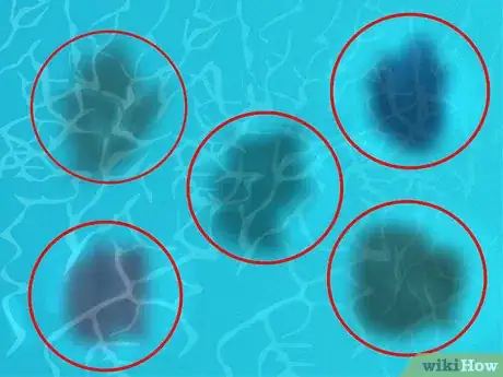 Imagen titulada Diagnose and Remove Any Swimming Pool Stain Step 1