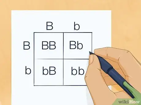 Imagen titulada Determine Genotype Step 4