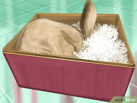Imagen titulada Raise a Lop Eared Rabbit As a Pet Step 14