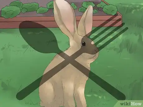 Imagen titulada Understand Your Rabbit Step 12
