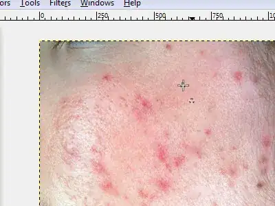 Imagen titulada Remove Facial Blemishes on GIMP Step 3