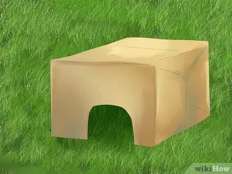 Imagen titulada Understand Your Rabbit Step 17