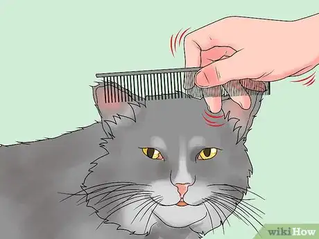 Imagen titulada Treat Feline Regurgitation Step 3