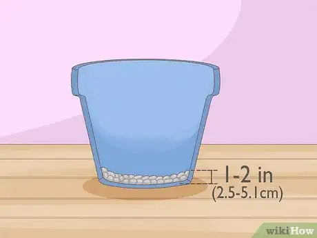Imagen titulada Grow Potatoes Indoors Step 8