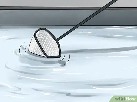 Imagen titulada Maintain Your Swimming Pool Step 14