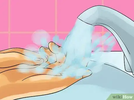 Imagen titulada Preserve a Skull Step 1