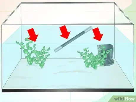 Imagen titulada Care for a Betta Fish in a Vase Step 12