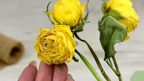 Imagen titulada Preserve Roses in Resin Step 5