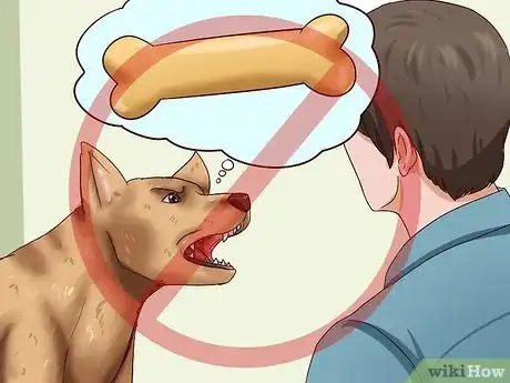 Imagen titulada Get Dogs to Stop Barking Step 1