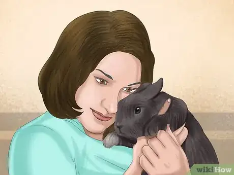 Imagen titulada Raise a Lop Eared Rabbit As a Pet Step 17