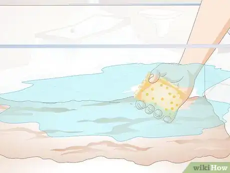 Imagen titulada Clean a Turtle Tank Step 8