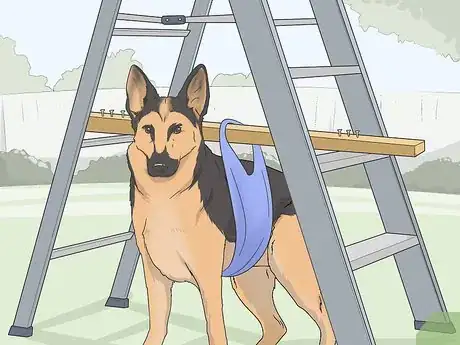 Imagen titulada Express a Paralyzed Dog's Bladder Step 16