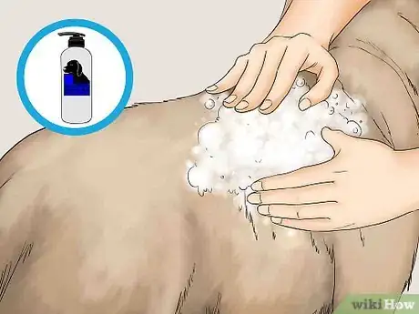 Imagen titulada Remove Chewing Gum from a Dog's Hair Step 8
