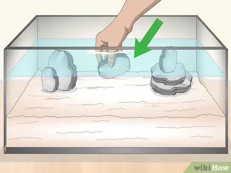 Imagen titulada Care for a Marine Hermit Crab Step 4