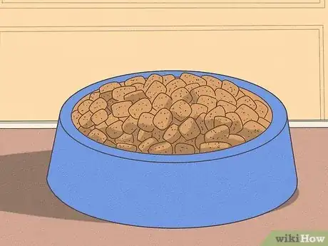 Imagen titulada Feed a Yorkie Puppy Step 3