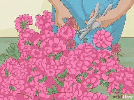 Imagen titulada Prune Azaleas Step 3