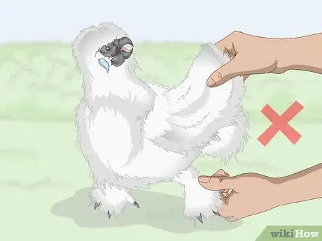 Imagen titulada Pet a Chicken Step 12