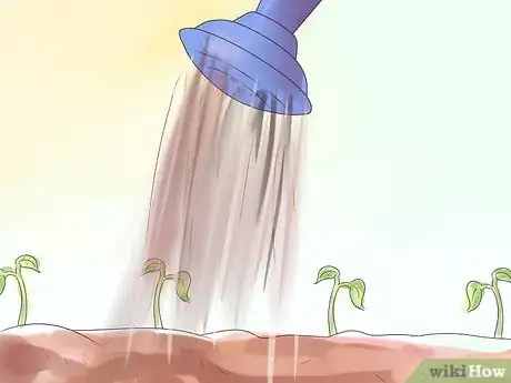 Imagen titulada Grow Pinto Beans Step 13