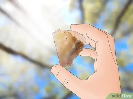 Imagen titulada Identify Petrified Wood Step 2