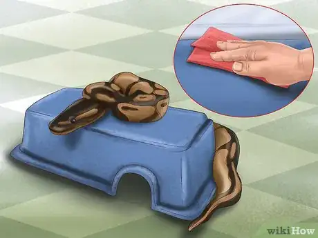 Imagen titulada Care for Your Ball Python Step 14
