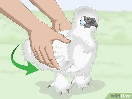 Imagen titulada Pet a Chicken Step 11