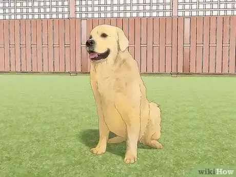 Imagen titulada Treat Obesity in Labrador Retrievers Step 10
